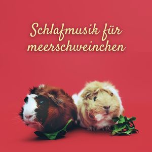 Glückliches Haustier