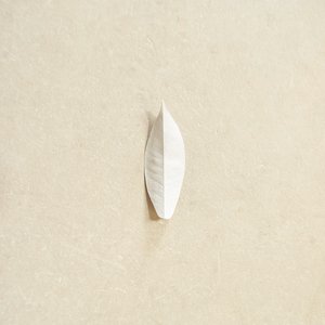 Wabi Sabi for Beginners