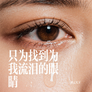 只为找到为我流泪的眼睛