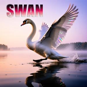 Swan