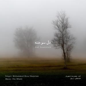 Del Sookhteh (Rework of M.R Shajarian)