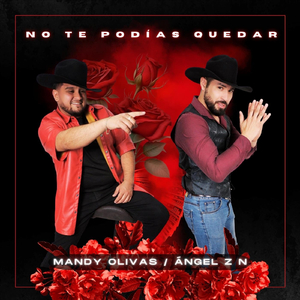 No Te Podías Quedar