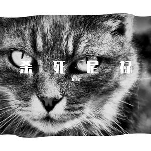 Fake My Death Tonight