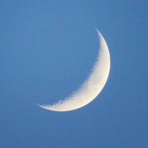 【高寒星&月】君の脈で踊りたかった/我想在你的脉搏中跳舞(双声道)（翻自 初音ミク）