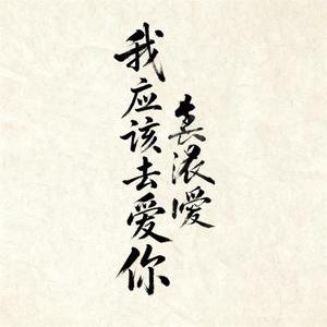 我应该去爱你 (风无念 Remix)