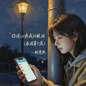 你说心疼我的眼泪(承诺算个屁)