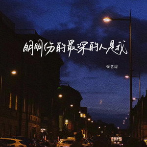 明明伤的最深的人是我