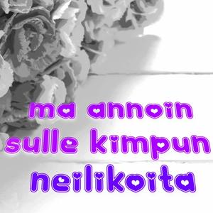Neilikoita