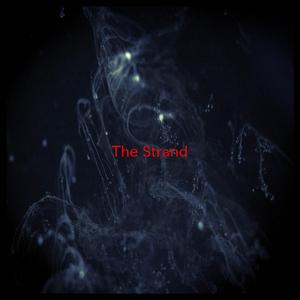 The Strand (Complete version originally performed by Roxy Music)