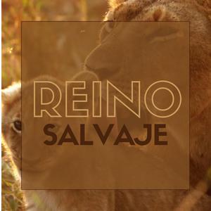 Encontrar el Equilibro