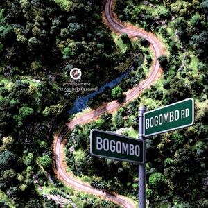 Bogombo Rd (Pet Ape Boys Resound) (Remix)