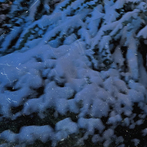 一人份的圣诞和几人份的孤单