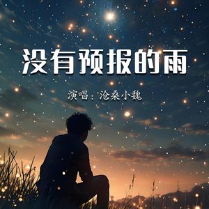 没有预报的雨
