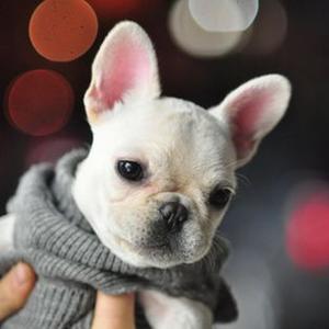 love in the dark (slowed and reverb)