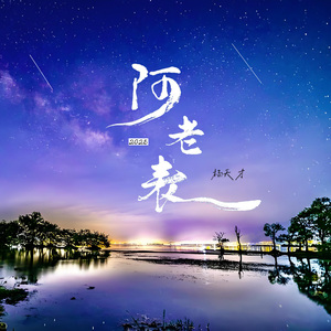 阿老表2025 (云南山歌版)