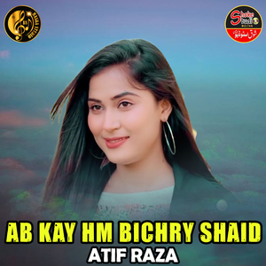 Ab Kay Hm Bichry Shaid (1)