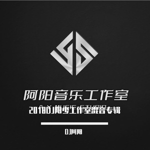 你别再问我 (DJ版)