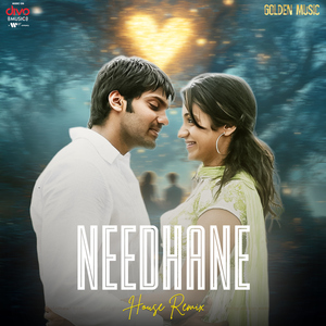 Needhane - House Remix