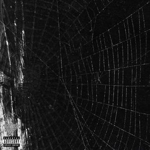 I FEEL LIKE FRANK ZAPPA