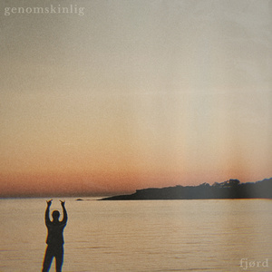 genomskinlig