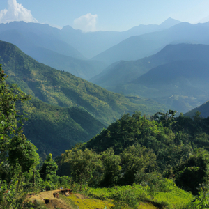 Hawa Sarara Lamjunge Dadaima