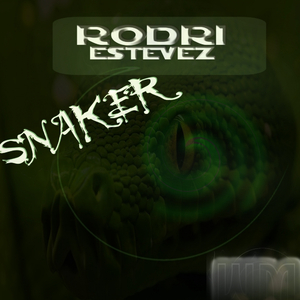 Snaker (Original Mix)