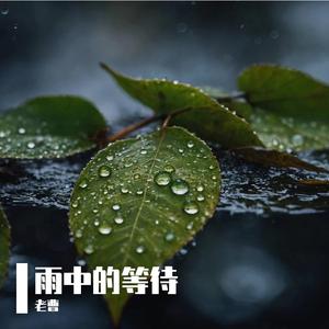 雨中的等待