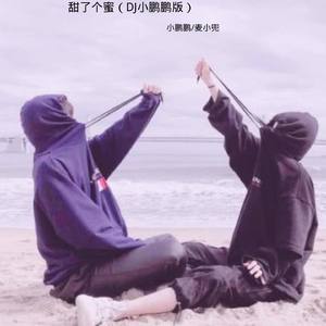 甜了个蜜（DJ小鹏鹏版）（小鹏鹏 & 麦小兜 Remix）