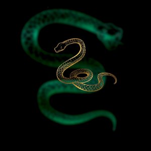 Quita y Pon (Version Guarcha Nando Ck)