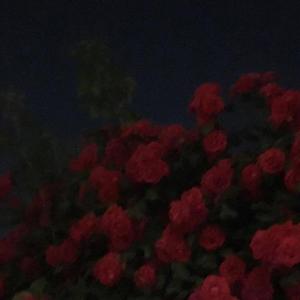 東京ラブストーリー