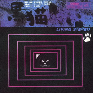 真夜中のハイウェイ