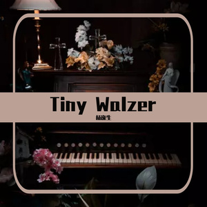 Tiny Walzer in D Major NO.1
