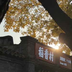 南方的你-整曲 伴奏