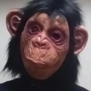 孤独猿のテーマ