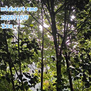 对玛导至昏(midwest emo cover)