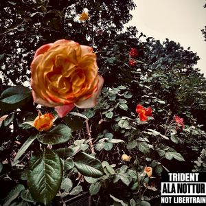 《DRACULA》feat.08AnKtime