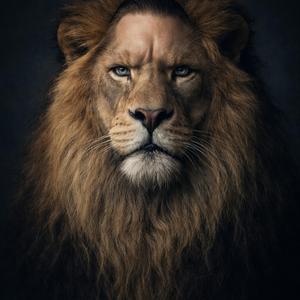 Your laughing at my Love