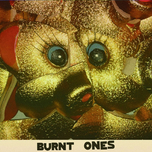 Meet The Golden Ones