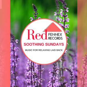 Water Waves And Birds