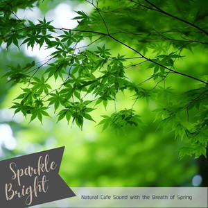 Pause in a Verdurous Nook