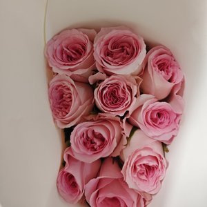 纸船_20260104_012225