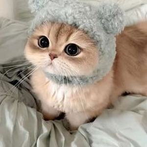 I Don't Wanna Do This Anymore (slowed)