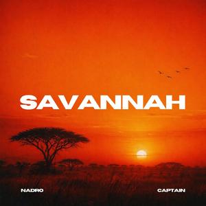 Savannah
