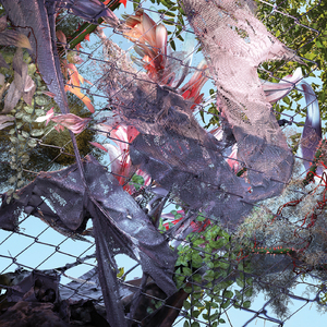 Down 4 Whatever (feat. SZA)