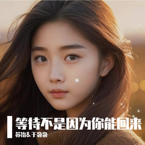 等待不是因为你能回来
