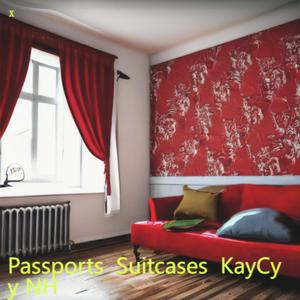Passports Suitcases KayCyy NH