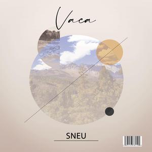 Vaca