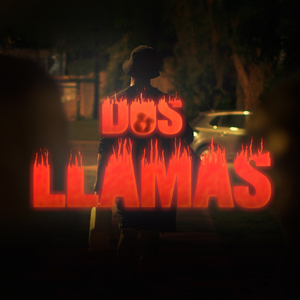 Dos Llamas