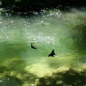 海蚀崖( •̥́ ˍ •̀ू )