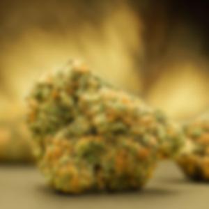 YO!!!.....LET'S RELAX....